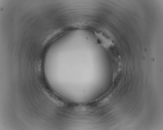 X0000076060404200610152207