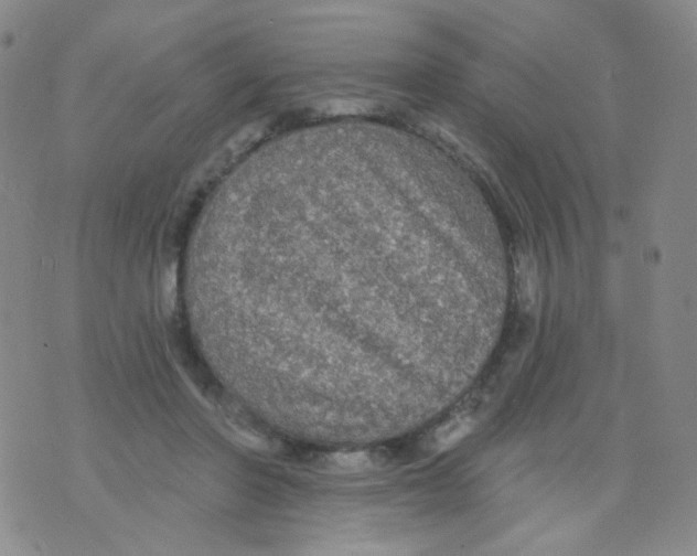 X0000076060406200610152207