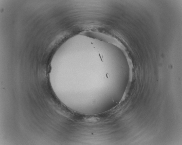 X0000076060407200610152207