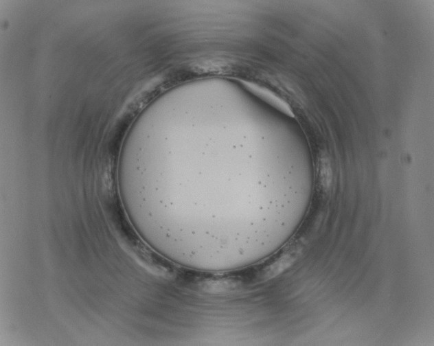 X0000076060408200610152207