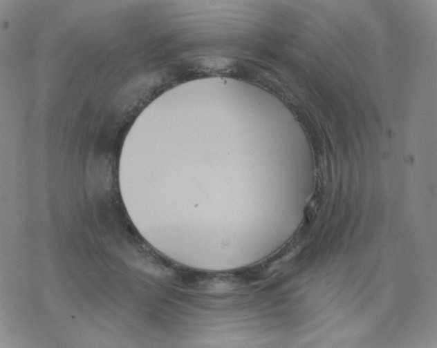 X0000076060412200610152207