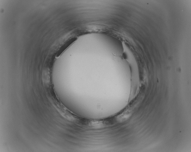 X0000076060413200610152207