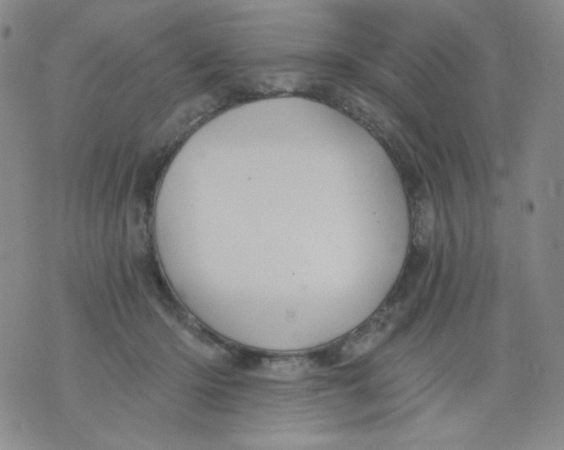 X0000076060414200610152207