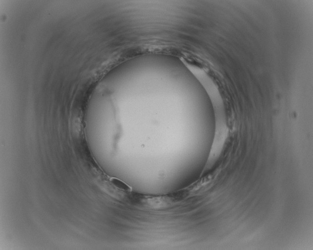 X0000076060417200610152207