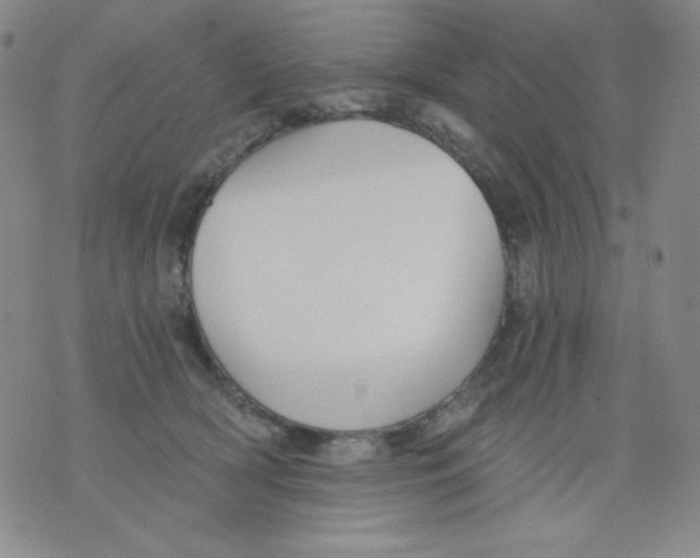 X0000076060418200610152207