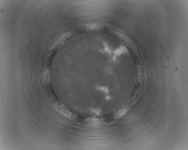 X0000076060419200610152207