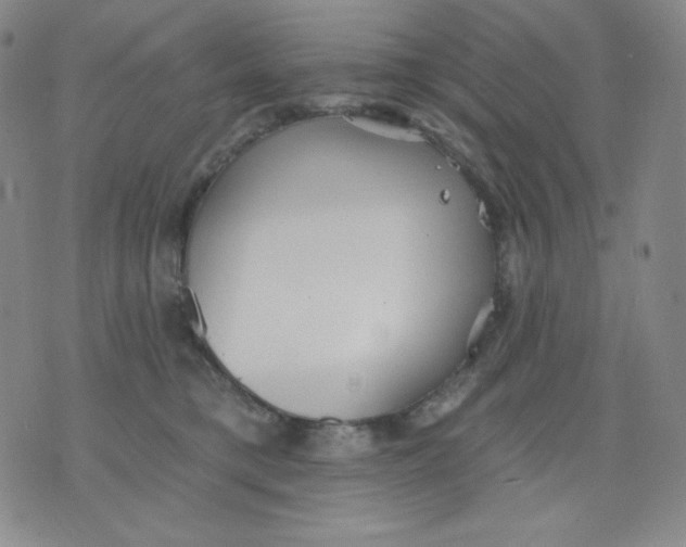 X0000076060421200610152207