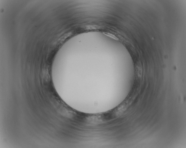 X0000076060422200610152207