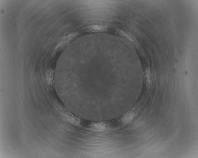 X0000076060423200610152207