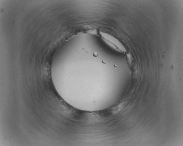 X0000076060424200610152207