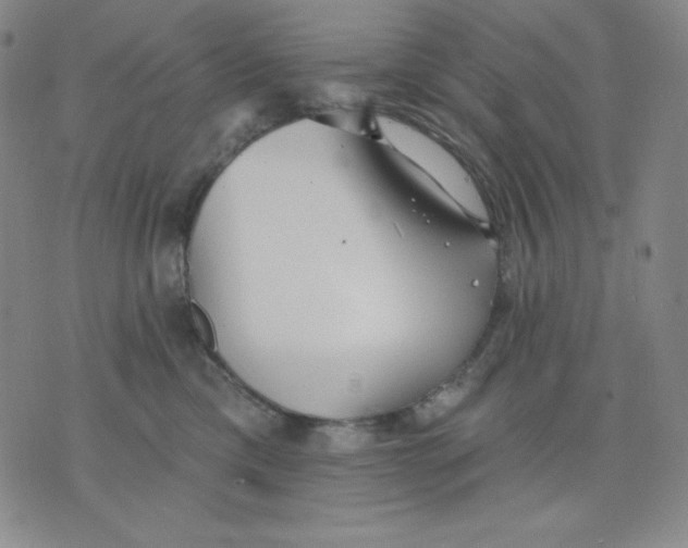 X0000076060425200610152207