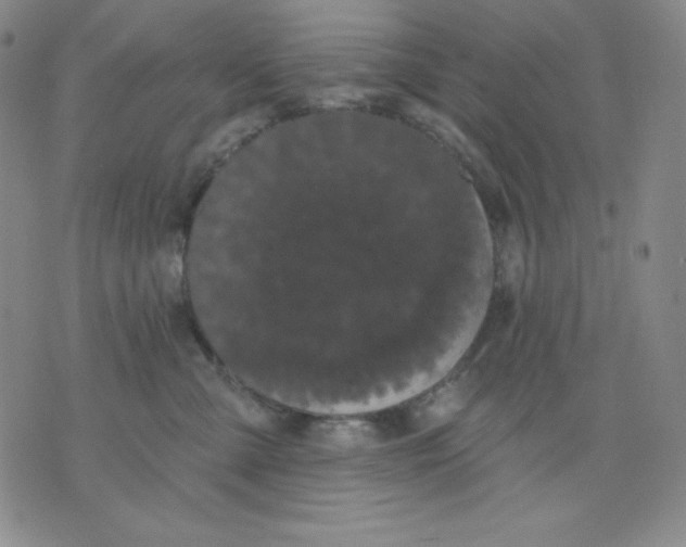 X0000076060427200610152207