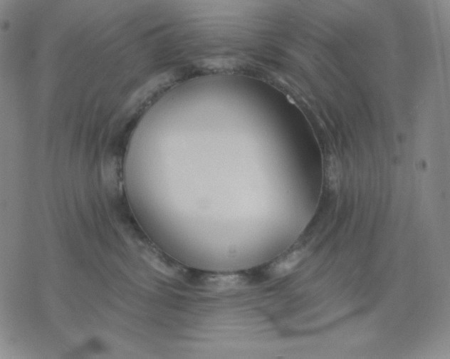 X0000076060428200610152207