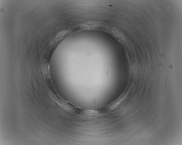 X0000076060429200610152207