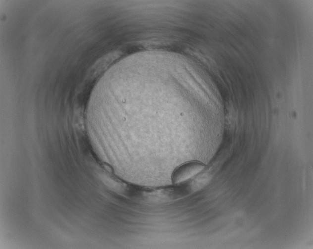 X0000076060430200610152207