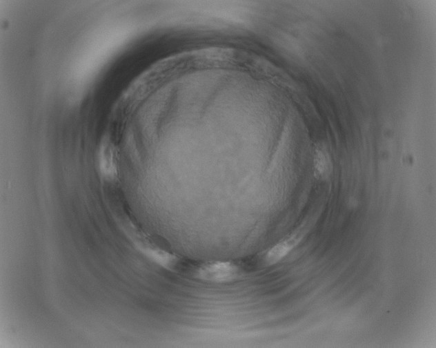 X0000076060431200610152207