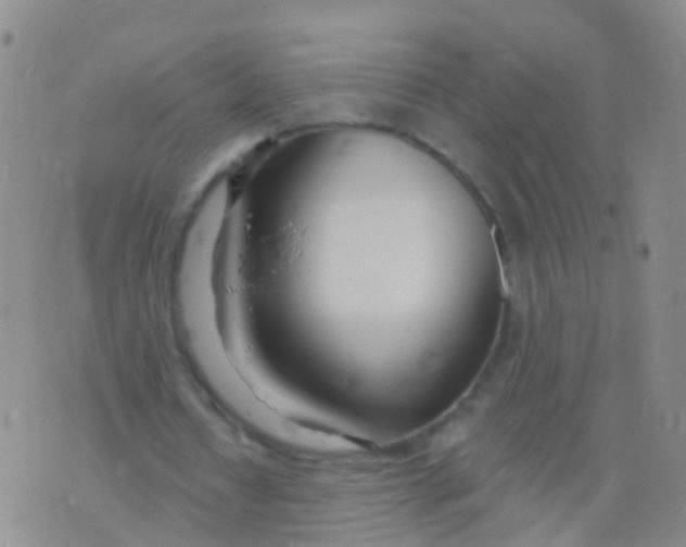 X0000076060434200610152206