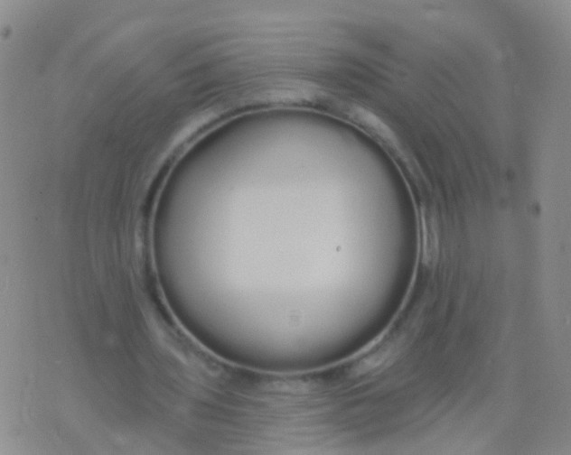 X0000076060435200610152206