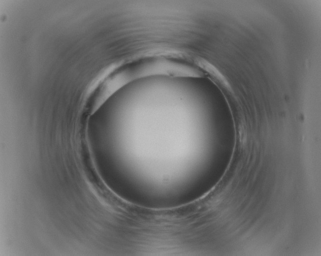 X0000076060436200610152206