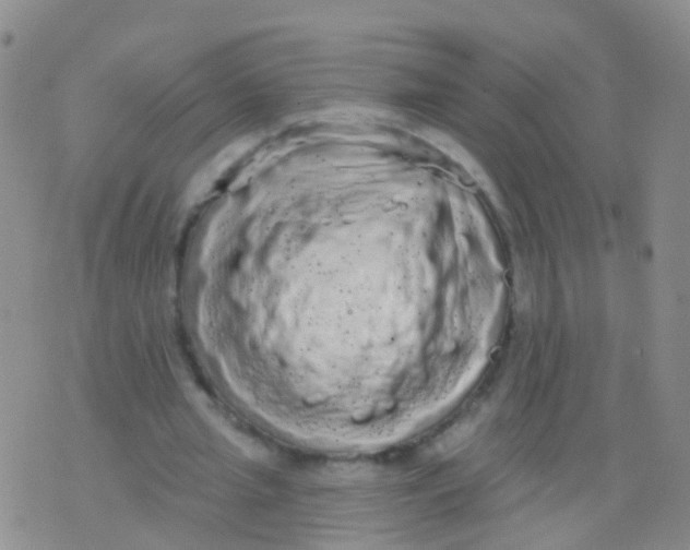 X0000076060437200610152206