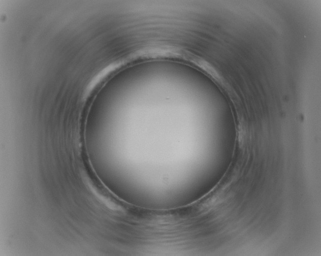 X0000076060438200610152206