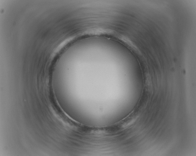 X0000076060440200610152206