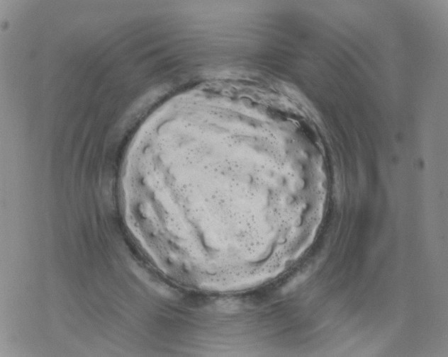 X0000076060441200610152206