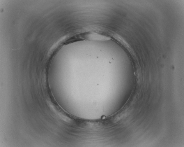 X0000076060442200610152206