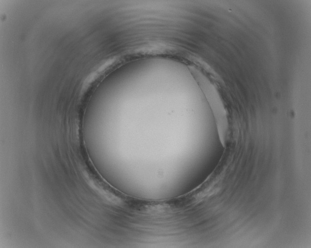 X0000076060446200610152206