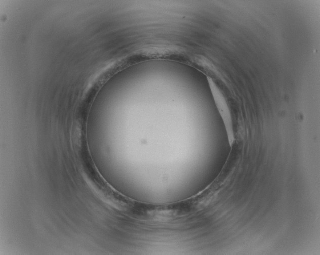 X0000076060448200610152206