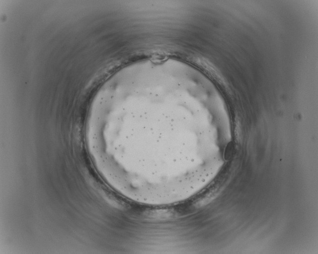 X0000076060449200610152207