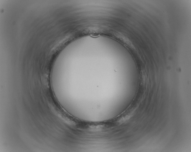 X0000076060450200610152207