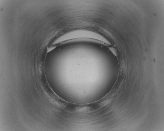 X0000076060452200610152207