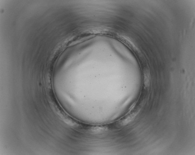 X0000076060453200610152207