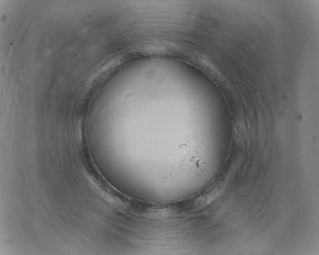 X0000076060454200610152207