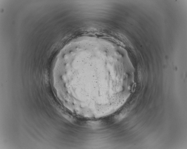 X0000076060457200610152207