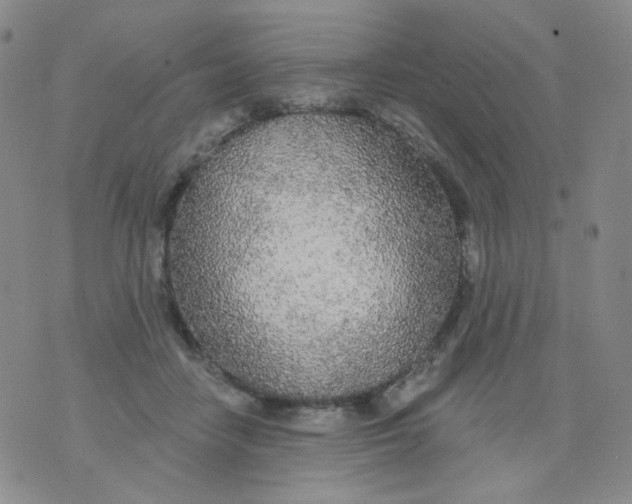 X0000076060458200610152207