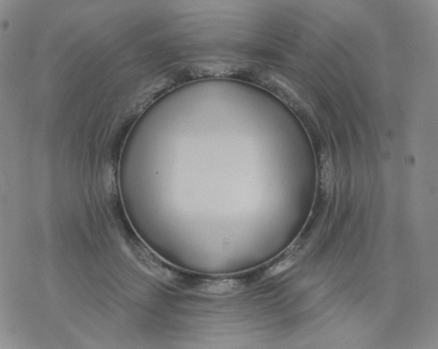 X0000076060459200610152207