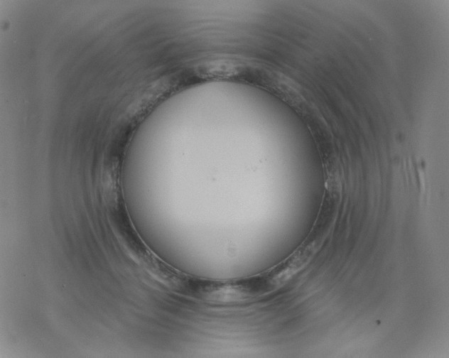 X0000076060460200610152207