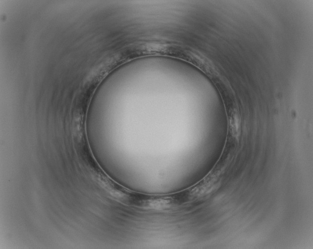 X0000076060462200610152207