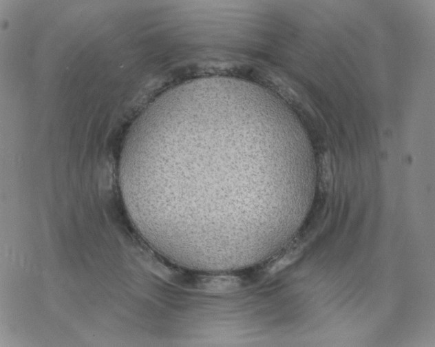 X0000076060463200610152207