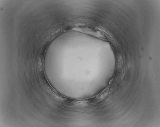 X0000076060465200610152207