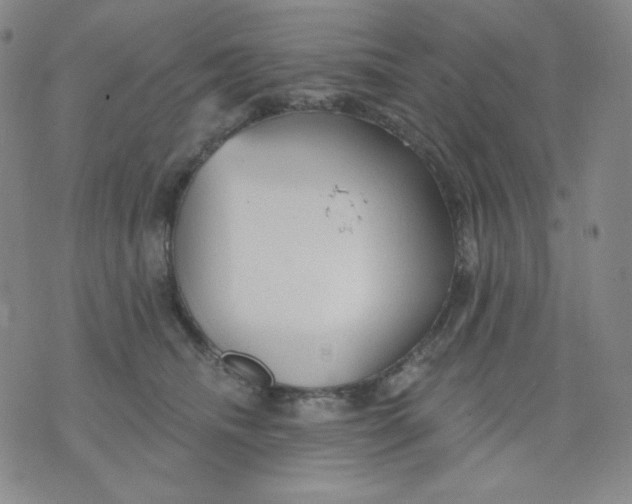 X0000076060468200610152207