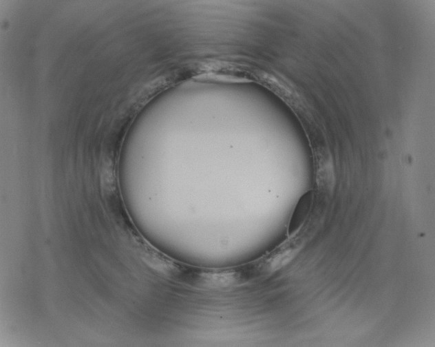 X0000076060469200610152207