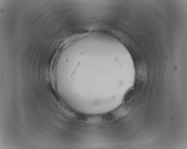 X0000076060470200610152207