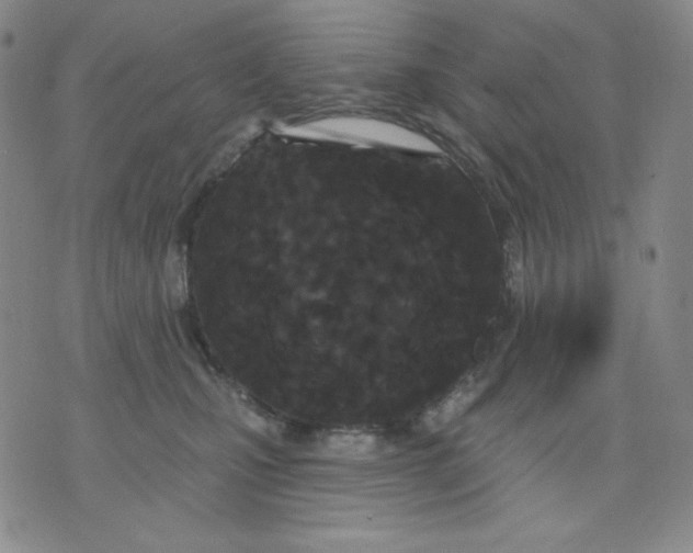 X0000076060471200610152207