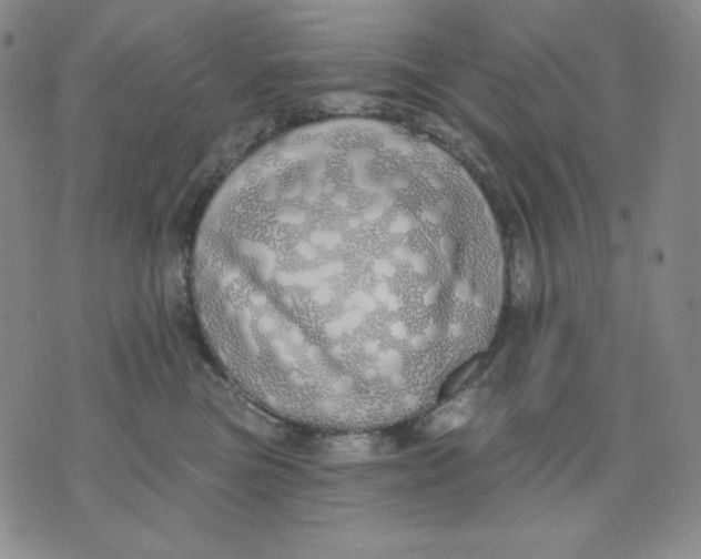 X0000076060473200610152207