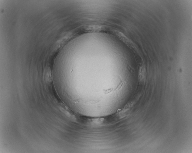 X0000076060474200610152207