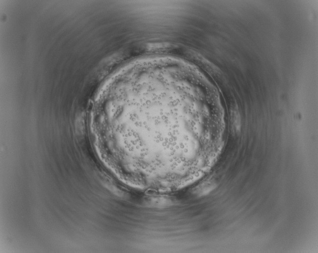 X0000076060475200610152207