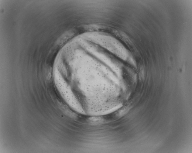 X0000076060477200610152207